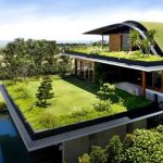 Minimalist Design for the Eco-Conscious Home
