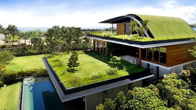 Minimalist Design for the Eco-Conscious Home