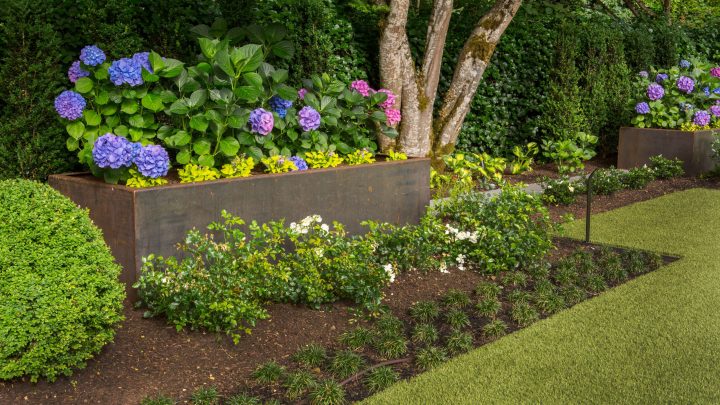 Sustainable Landscaping: Tips and Tricks for an Eco-Friendly Garden
